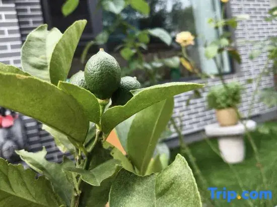 Tangqiyuan Homestay