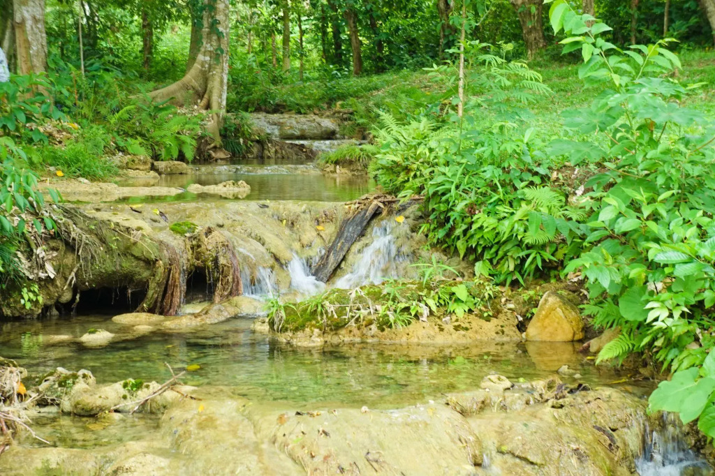 Winika Habitat