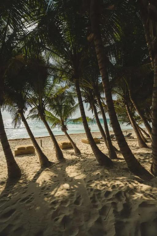 Ether Tulum