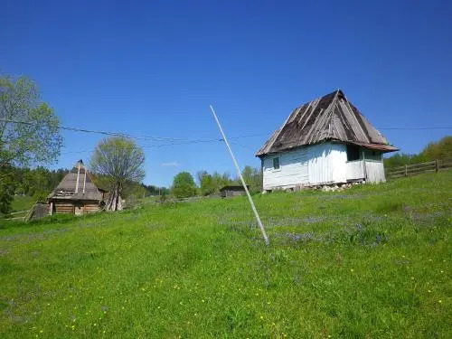 Rustic Ghetar