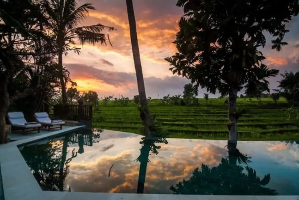 Lavillabali Rice Fields Terrace Canggu