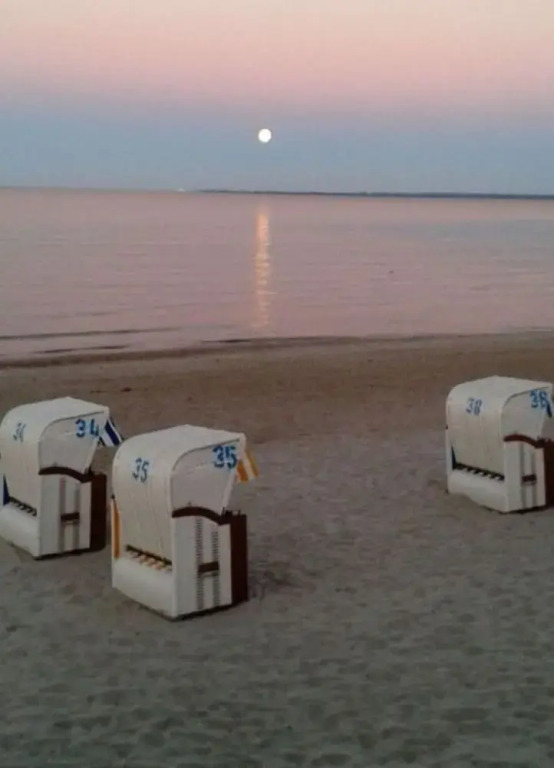 Chrissi's Baltic Sea Nest