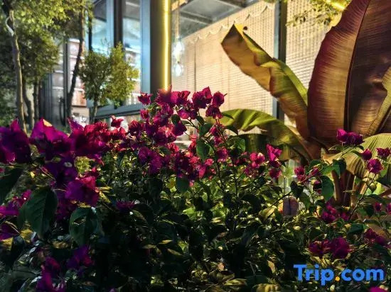 Ledao Yunnan |Mountain View Room|The Snow Mountain of Sunrise Garden Resort Designer Inn
