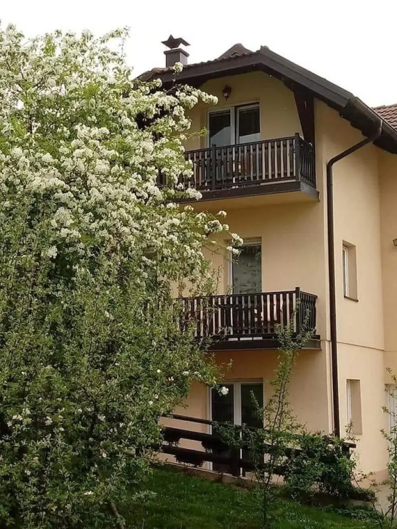 Apartments Vila Velickovic