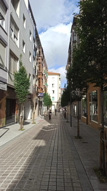 Apartamento céntrico