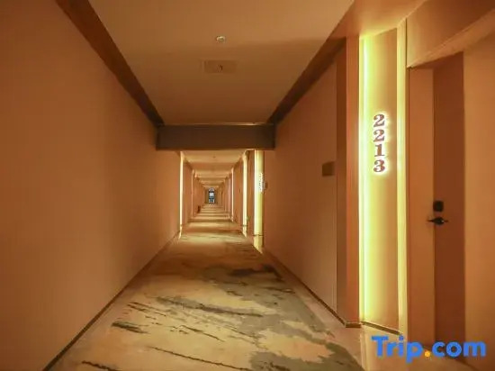Yipan Hotel (Guanggu Biocity Maternal and Child Health Hospital)