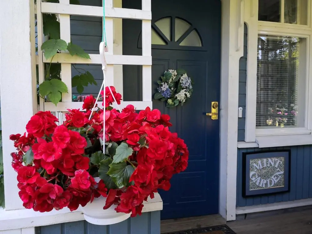 Lovely Mint Garden Studio