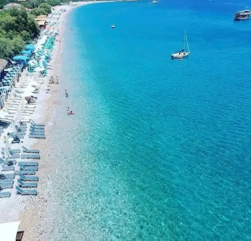Palamut Ev