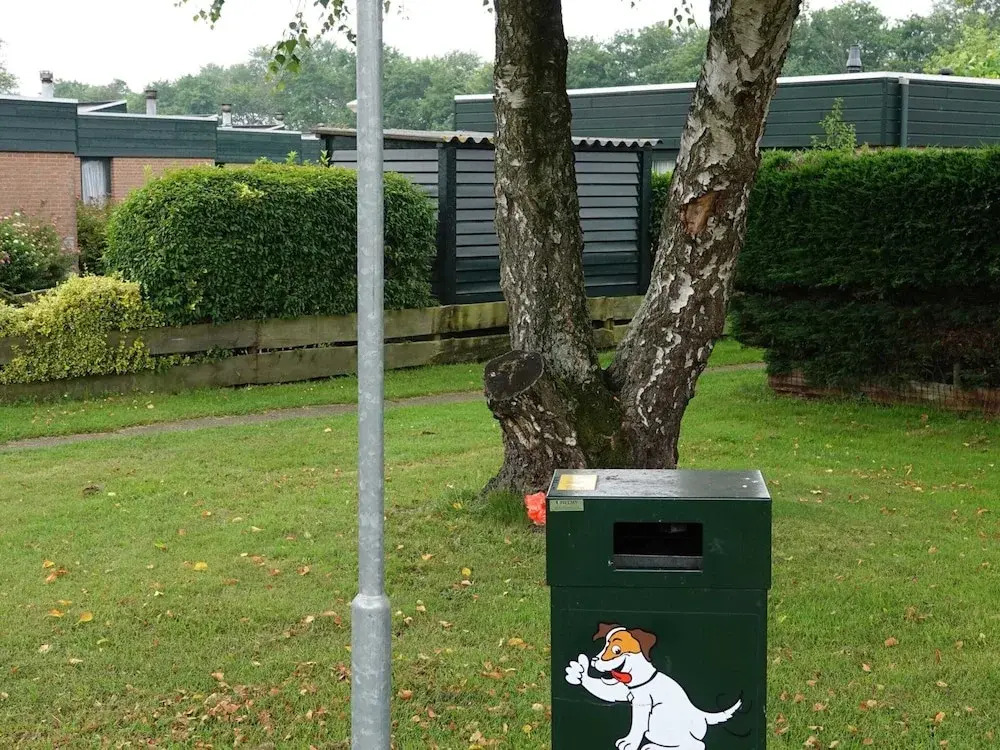 Family Escape Near Keukenhof