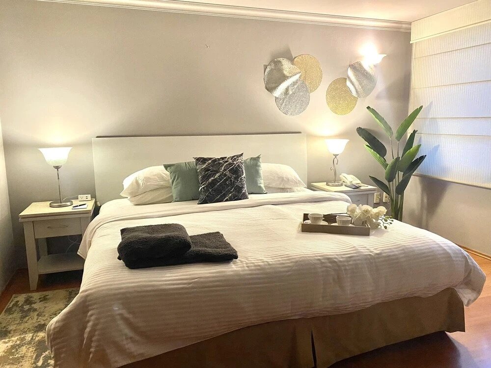 Cozy Stlish Rooms in Polanco