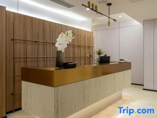 Mike E-sports Hotel (Chongqing Longhu Shidaitian Street Shiyou Road Subway Station Branch)