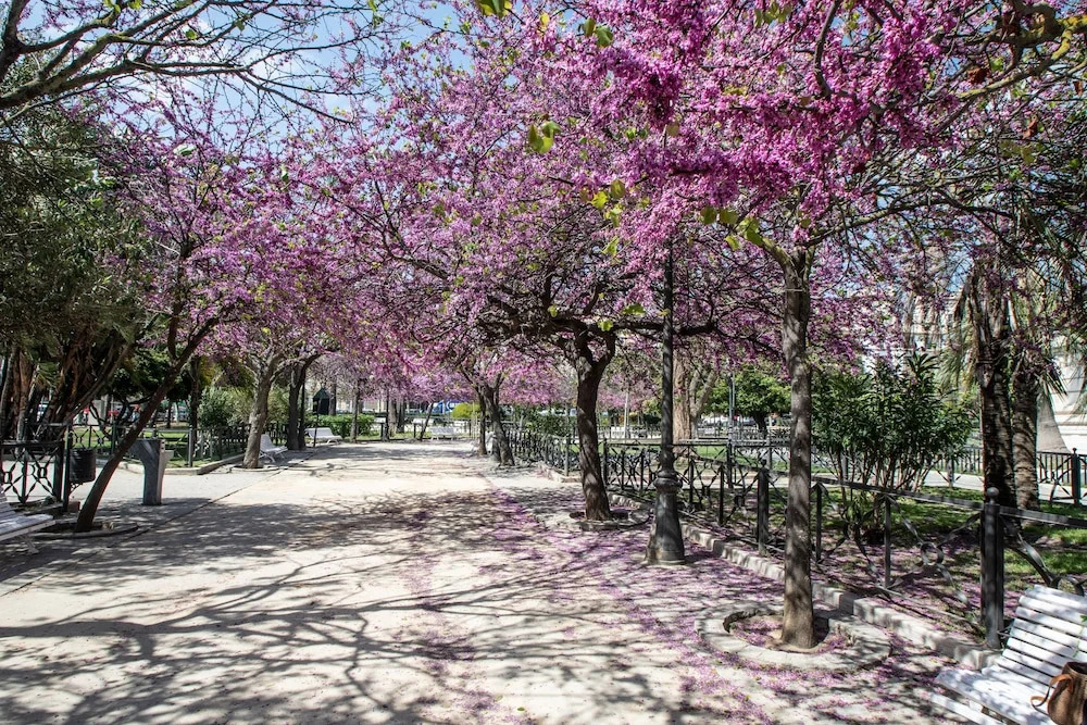 Apartamento Ultramar Cádiz
