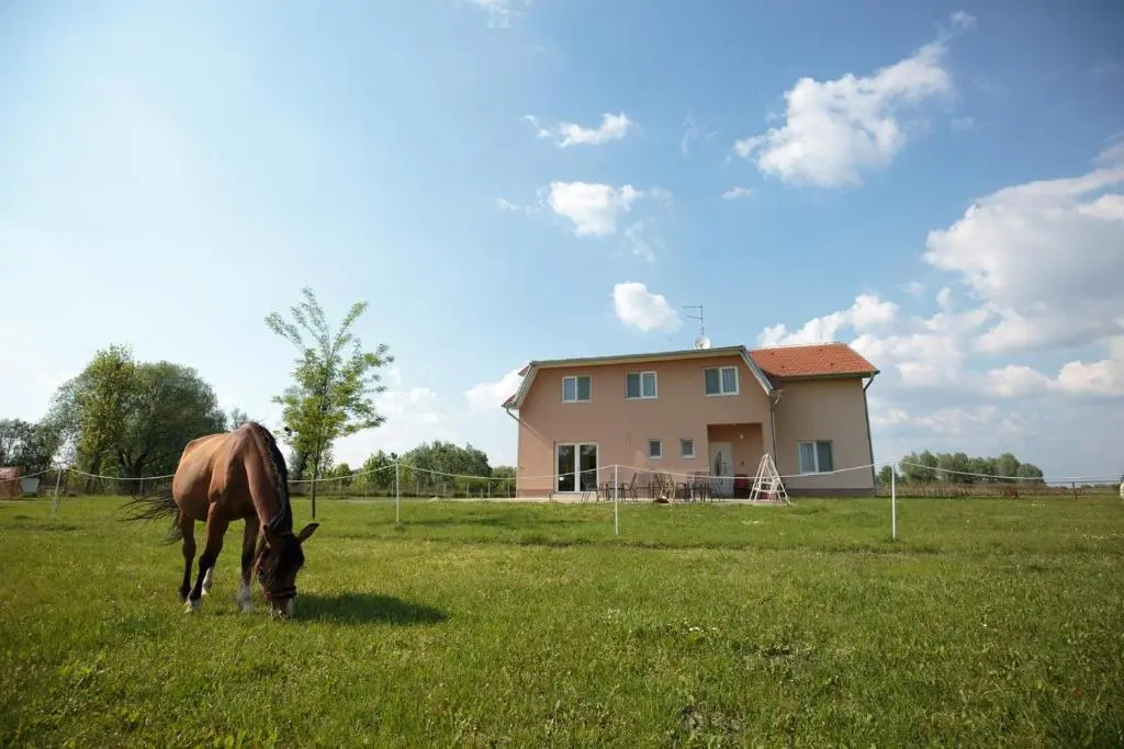 Guesthouse Capistro