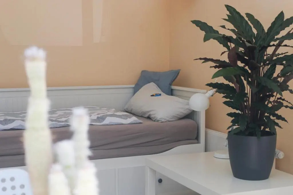 Apartment with easy access to downtown and park