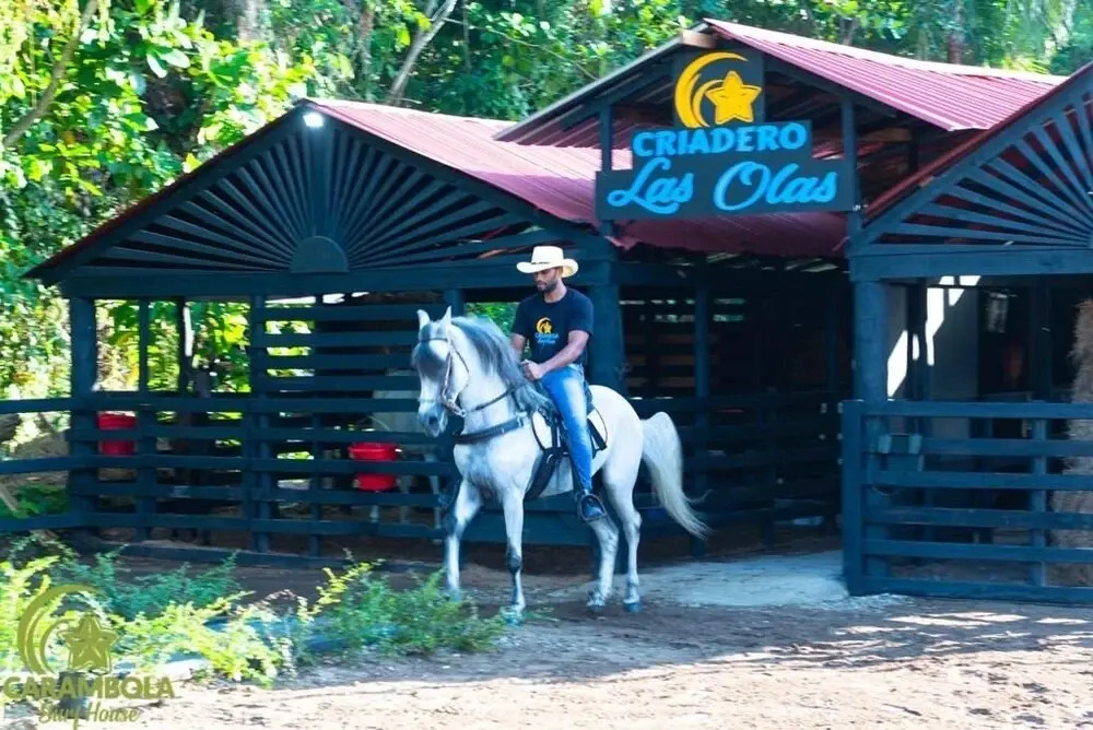 Carambola Surf House