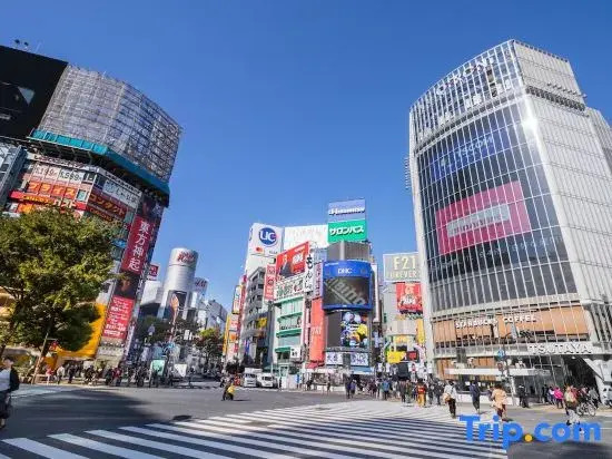 Popular Shinjuku area!Maximum 12 pplates!Detached house/WiFi available/MK535