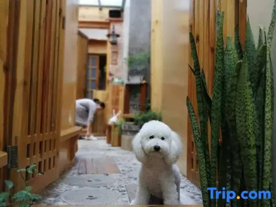 Yuxi Qingyun Shangju Homestay (Nie'er Former Residence)