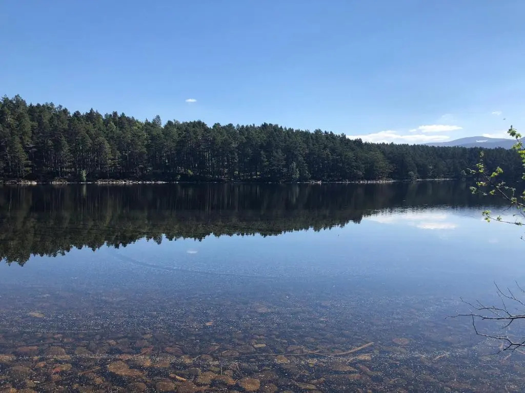 81 The Heathers, Aviemore Holiday Park , Dalfaber rd Aviemore PH22 1PX