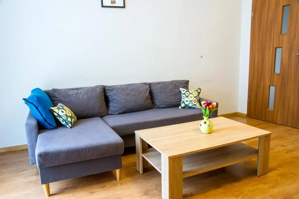 Apartament Brązowy Narutowicza 11