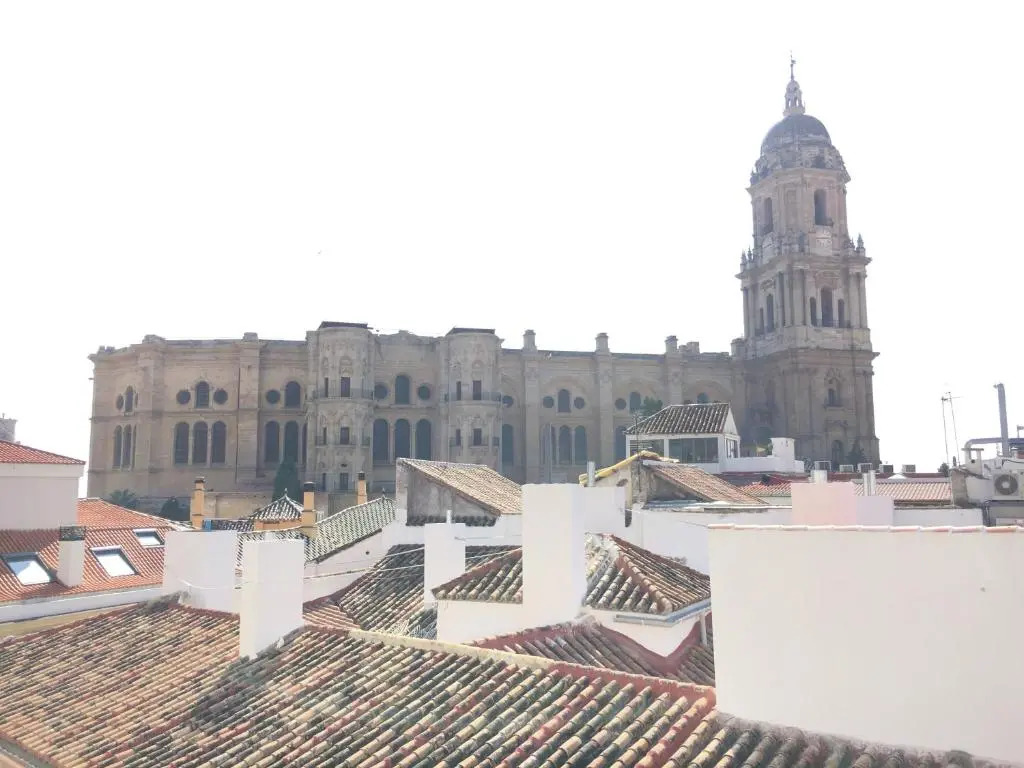 Vive Malaga