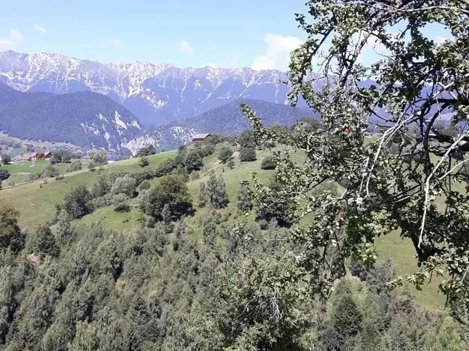 Casa Claudiu