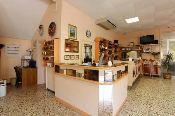 Hotel Vannini