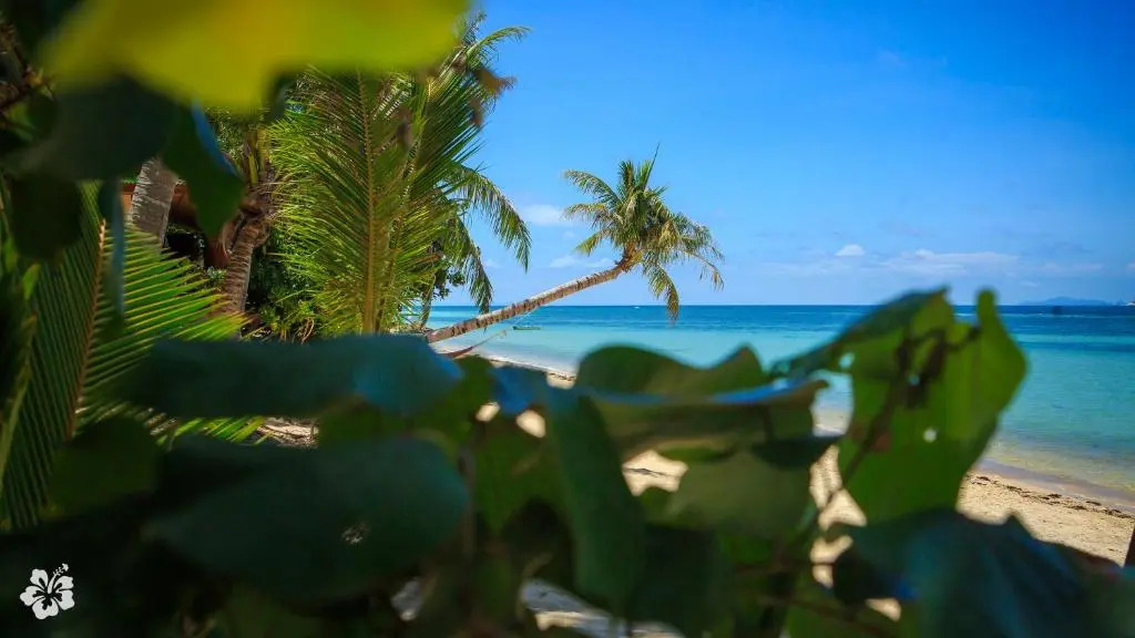 Seaflower Bungalows