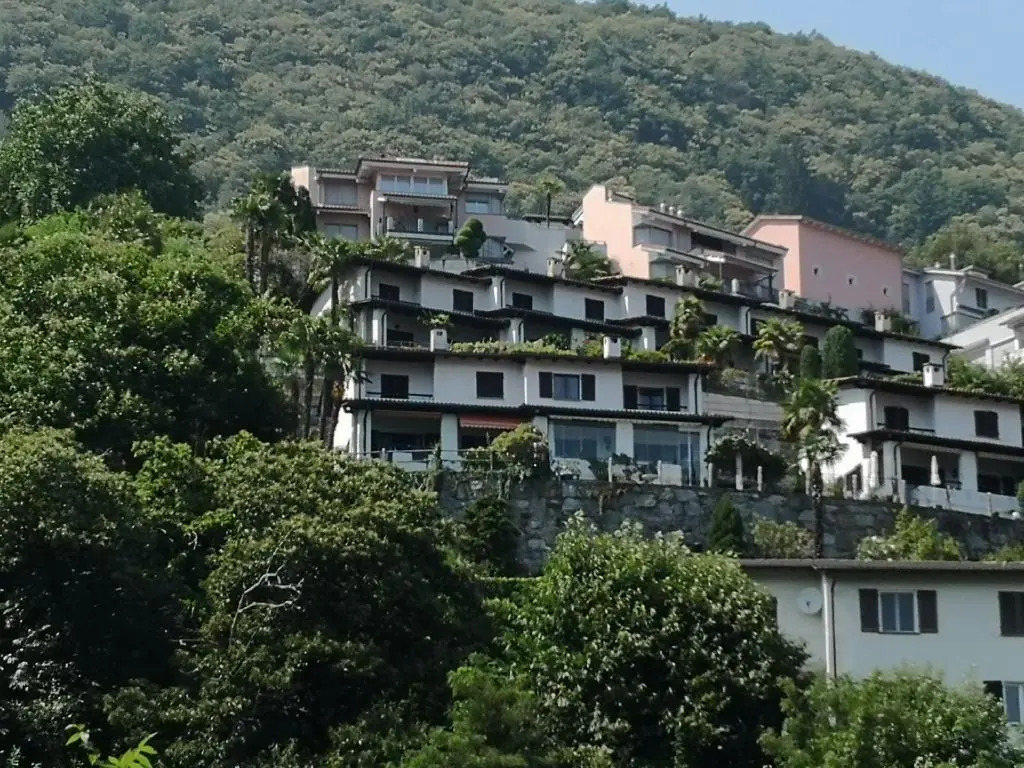 Brilago 6