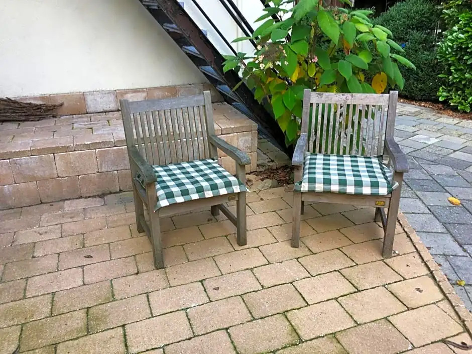 B&B In de aap gelogeerd
