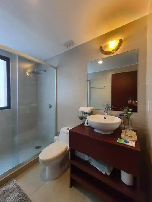 Argento Apartment in New Polanco