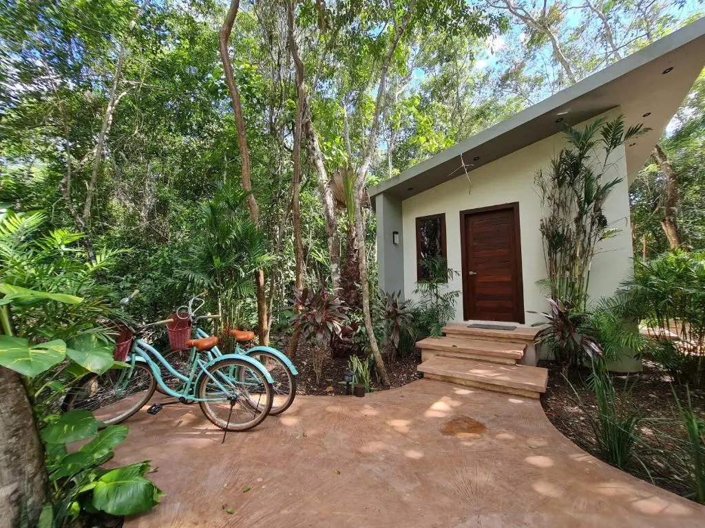 Secret Gardens Bacalar Suite 01 con alberca y bicicletas