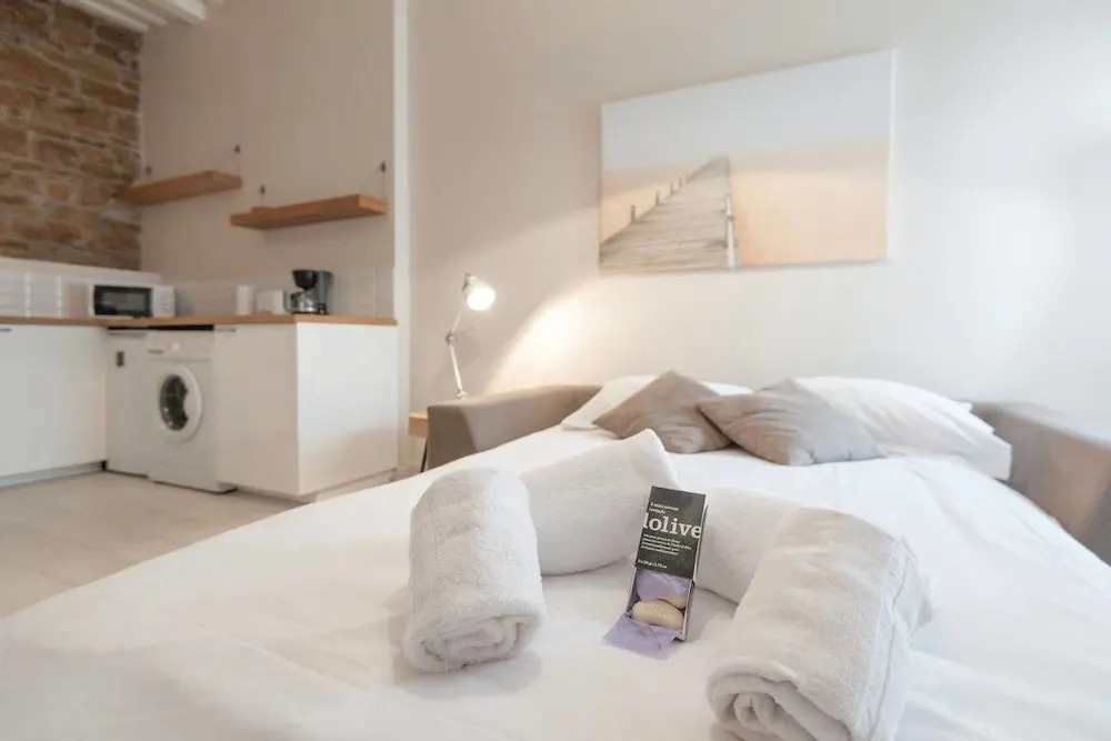 Lovely Studio in Downtown Lyon