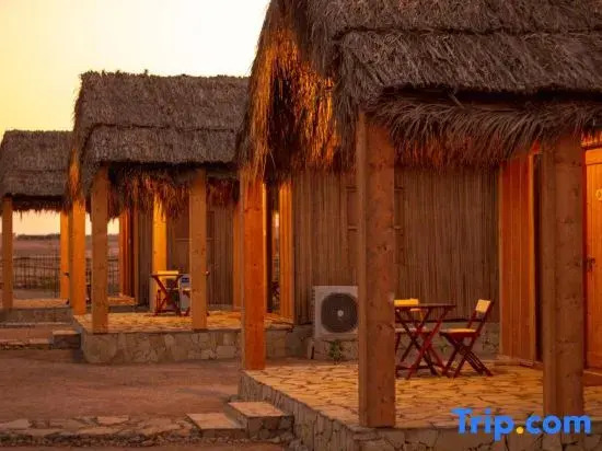 SAMA Ras Al Jinz Ecolodge