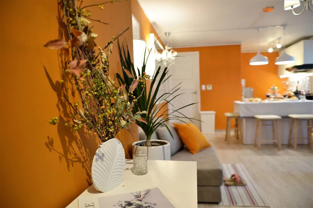 Orange Mango Cherry Party House