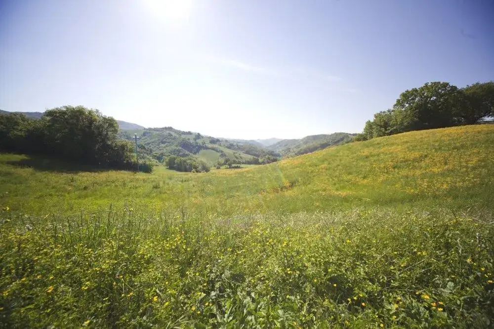 Agriturismo La Spiga DOro