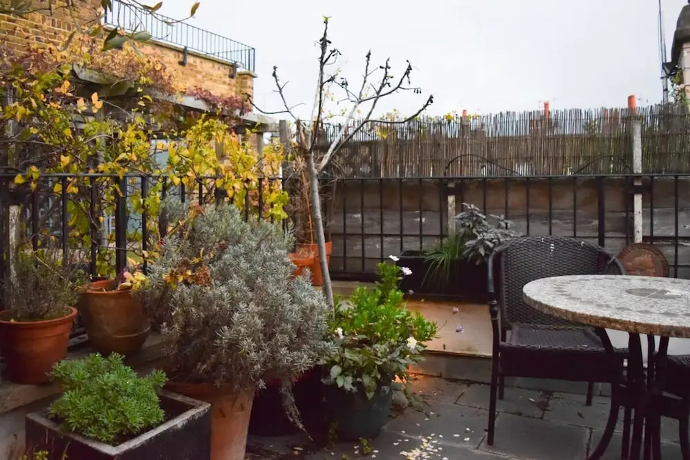 Stylish and Spacious Apartment With Terrace
