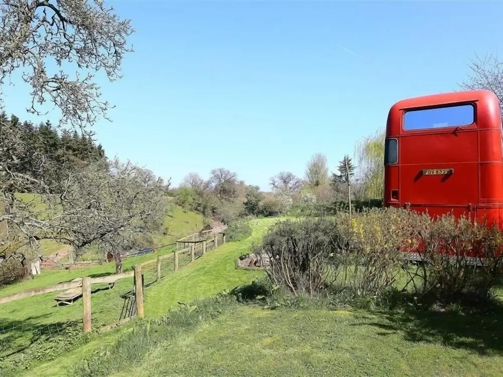 The Red Bus!