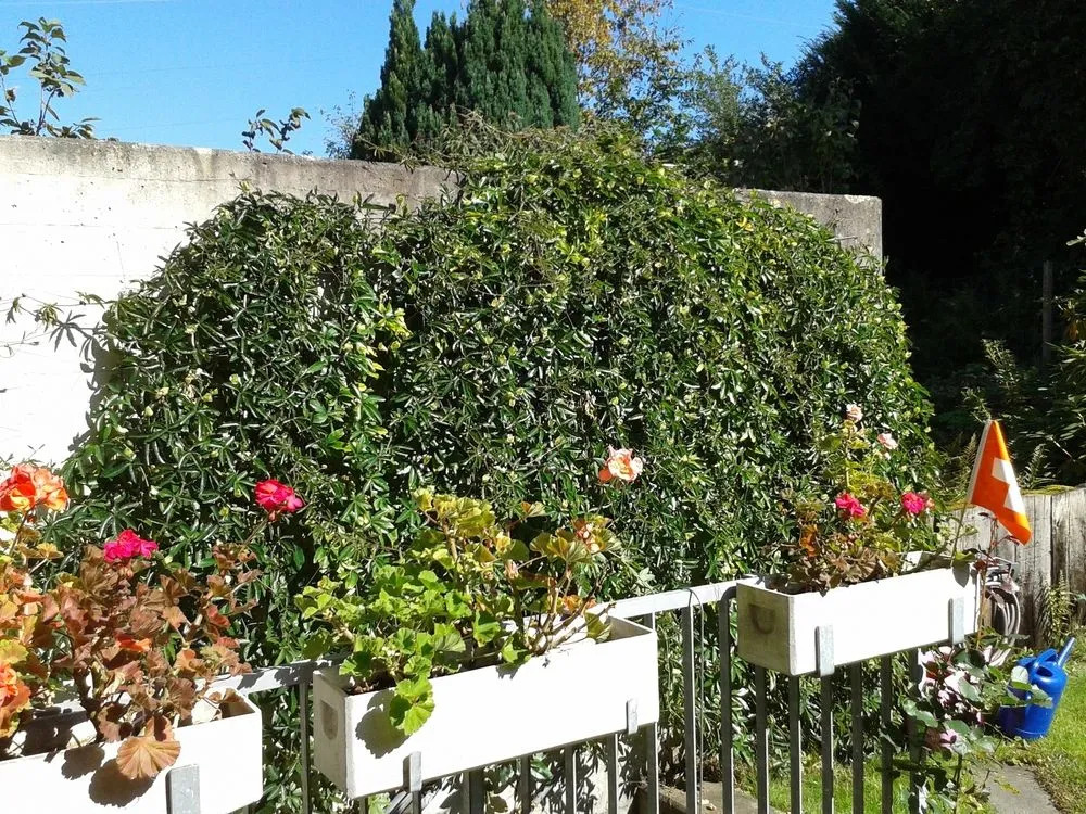 MyBednBreakfast in Bottmingen