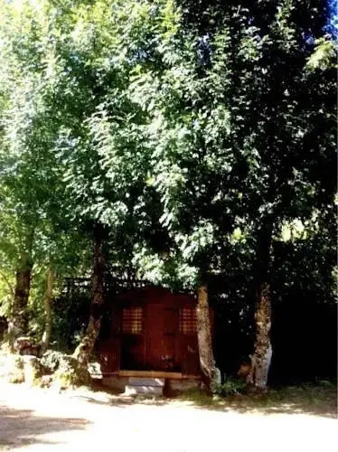 Camping el Cares