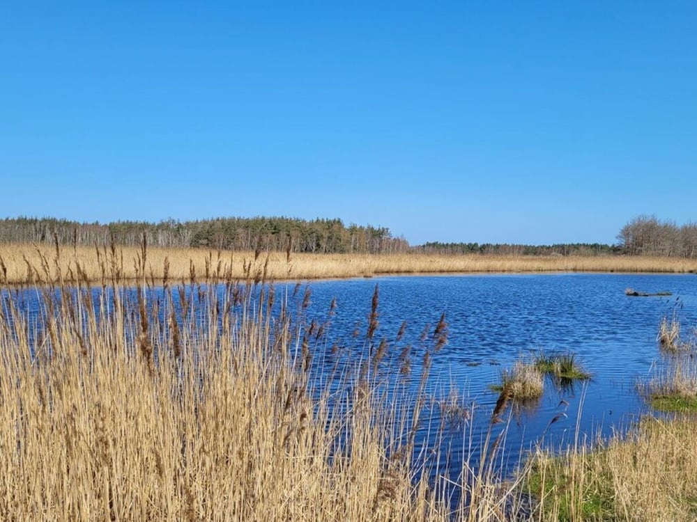 Hustadt in the Heart of Zingst
