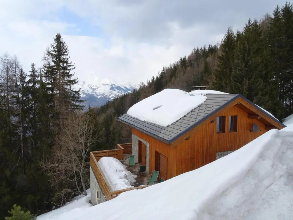 Chalet 5 pièces Vallandry, 12 pers, animaux admis, parking, WiFi - FR-1-411-545