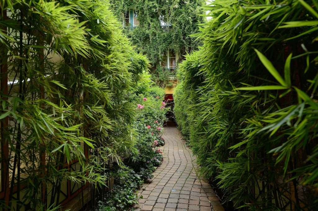 Les Patios du Marais 2