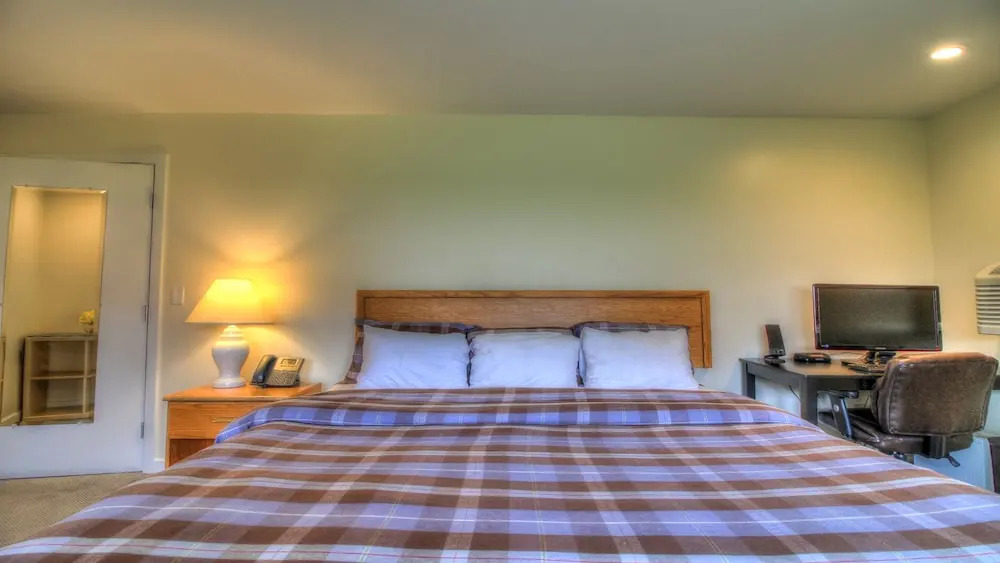 Kcis 432 - Killington Tree House: 2 Room Modern Condo