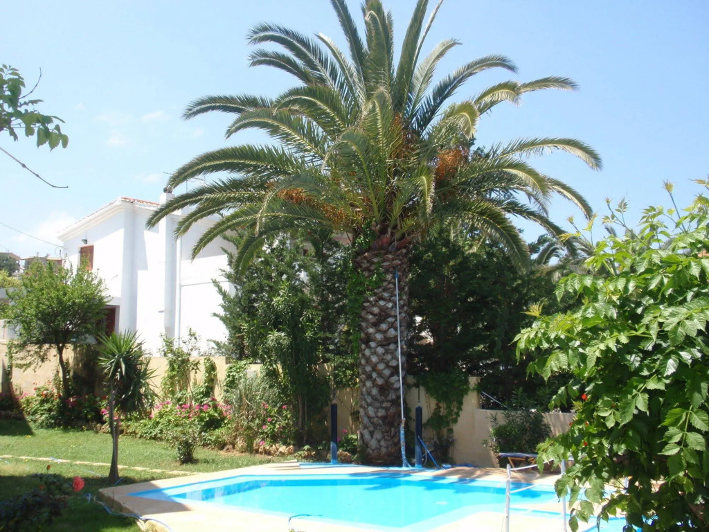 Alexandros Studios
