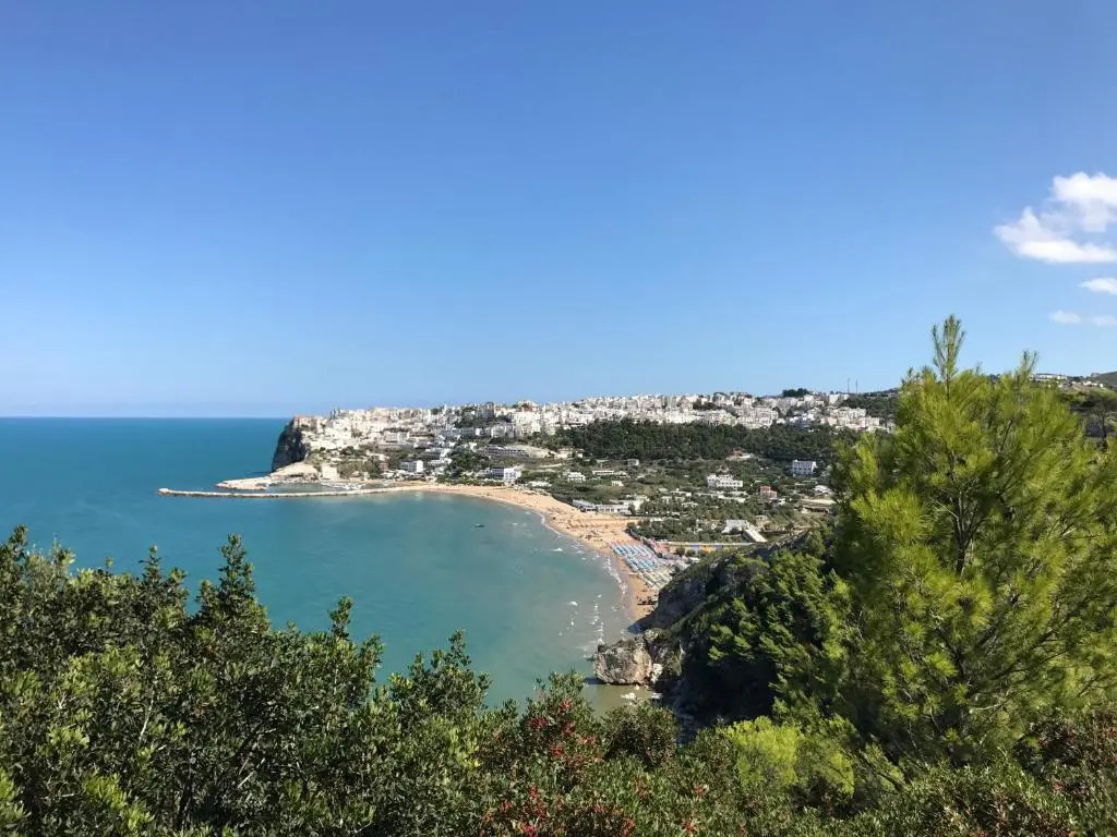Le Bouganvillea