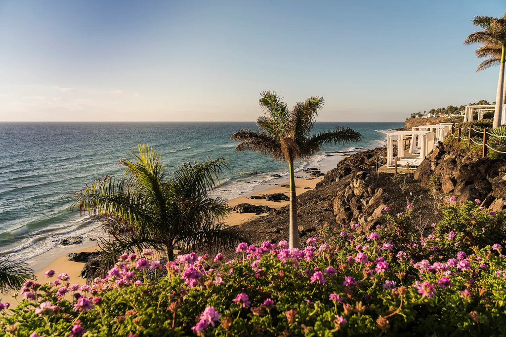 Royal Palm Resort & Spa
