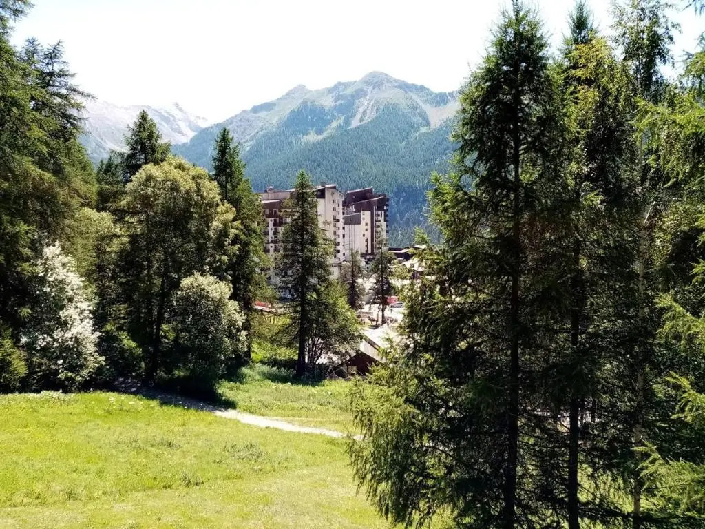 Appartement Les Orres, 1 pièce, 4 personnes - FR-1-322-230
