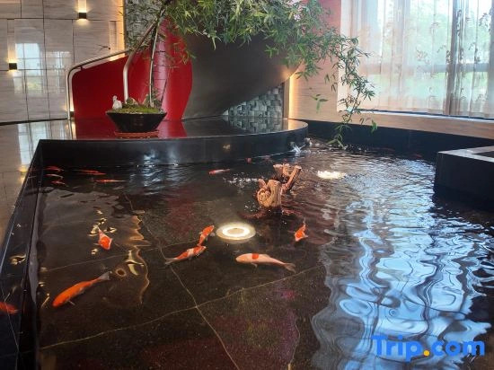 Better Joy Hotel Qing Yang（Municipal Government Gymnasium）