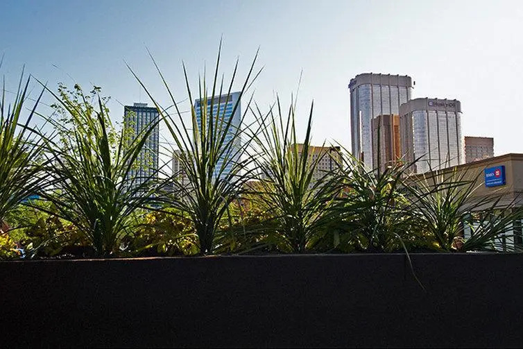 NUVO Hotel Suites