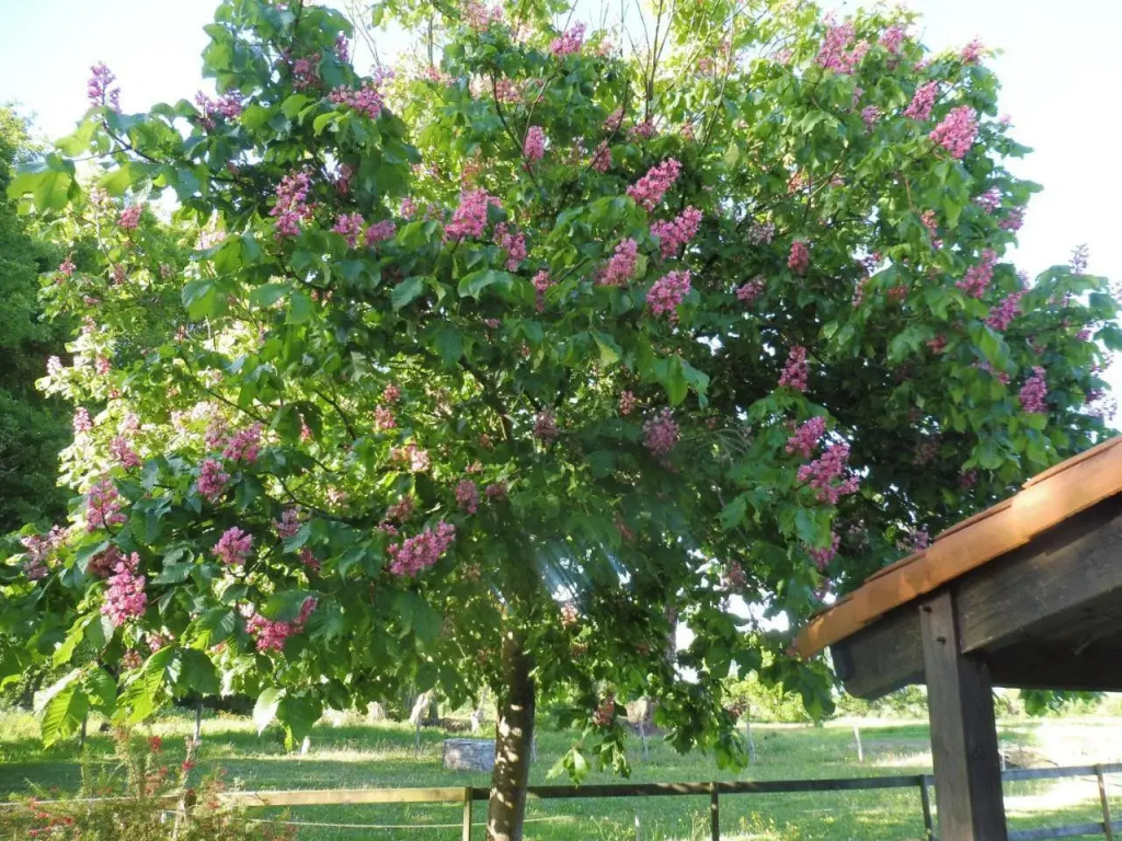 Linstant jardin